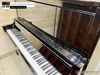 dan-piano-co-saujin-dw9