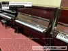 dan-piano-co-schwester-modno51-58901