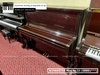 dan-piano-co-schwester-modno51-58901