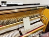 dan-piano-co-schwester-modno51-58901