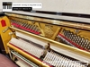 dan-piano-co-schwester-modno51-58901