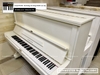 dan-piano-co-schwester