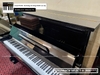dan-piano-co-steinbach-select-a-800