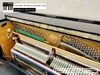 dan-piano-co-steinbach-select-a-800