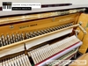 dan-piano-co-steinbach-selectm-780