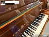 dan-piano-co-tchaika-123-348007