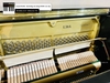 dan-piano-grand-yamaha-g5e-3530