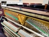 dan-piano-co-tonica-tu250-822912