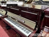 dan-piano-co-tonica-tu250-822
