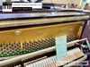 dan-piano-co-tonica-tu250-822
