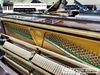 dan-piano-co-tonica-tu250-822