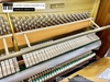 dan-piano-co-universal-ns121d-kjk1002xx
