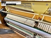 dan-piano-co-universal-ns121d-kjk1002xx