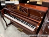 dan-piano-co-universal-sons