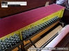 dan-piano-co-universal-sons