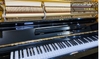 dan-piano-gershwin-no-500-a-80