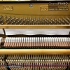 dan-piano-apollo-a8