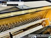 dan-piano-co-victor-v-103b-n06526125