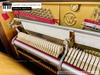 dan-piano-co-wistaria-u-buchholz-k120-85021xx