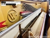 dan-piano-co-wistaria-u-buchholz-k120-85021xx