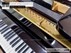 dan-piano-grand-yamaha-c5-3400