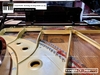 dan-piano-grand-yamaha-c5-3400