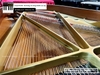 dan-piano-grand-yamaha-c5-3400