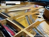 dan-piano-co-grand-yamaha-c5l-58601