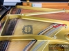 yamaha-g5e-seri-2273010