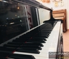 yamaha-g5e-seri-2273010