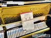 dan-piano-dien-yamaha-u1h-1901