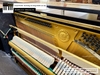 dan-piano-co-yamaha-u1h-1901