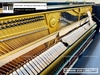 dan-piano-dien-yamaha-u1h-1901
