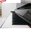 yamaha-yus5-pe