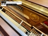 dan-piano-co-young-chang-u121q-18964xx