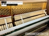 dan-piano-co-youngchang-e118-17647xx