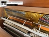 dan-piano-co-youngchang-u121-23907xx
