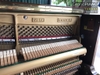 samick-wg5c-113560