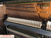 samick-su615s-ipho5325