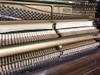 samick-wg5-480828