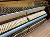 dan-piano-youngchang-u121-1601095