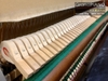 dan-piano-earl-windsor-w112-deluxe