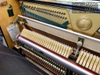 dan-piano-pruthner-p2-54522