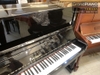 dan-piano-pruthner-p2-54522