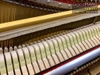 dan-piano-rolex-kr-33-52084