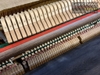dan-piano-fritz-kuhla-38