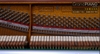 dan-piano-young-chang-cx116bi-seri-23040xx