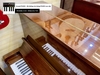 dan-piano-co-samick-wg-9c