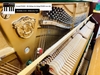 dan-piano-co-samick-wg-9c