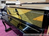 dan-piano-co-bernhard-steiner-u118-97071xx